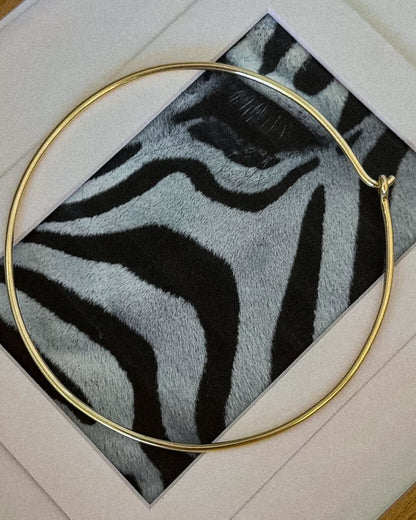 New - Italian Collar