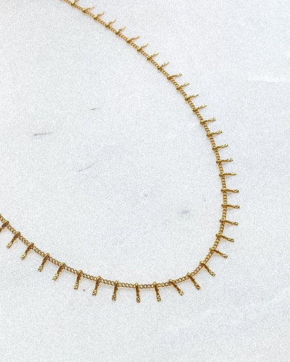 New - Sole d'Oro Choker